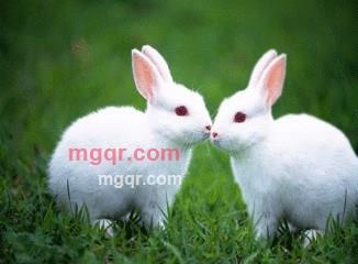 我是男人的第2张照片