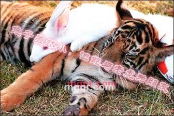 我是男人的第1张照片