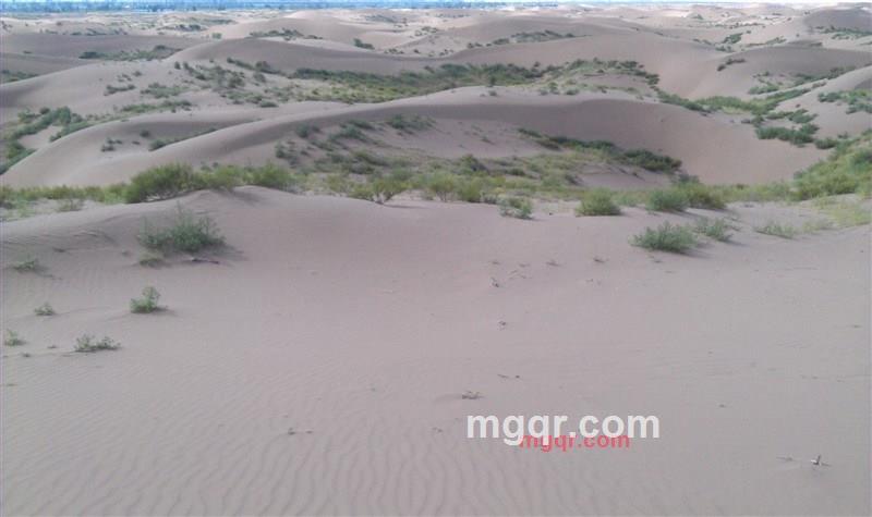 沧浪之水2009的第8张照片