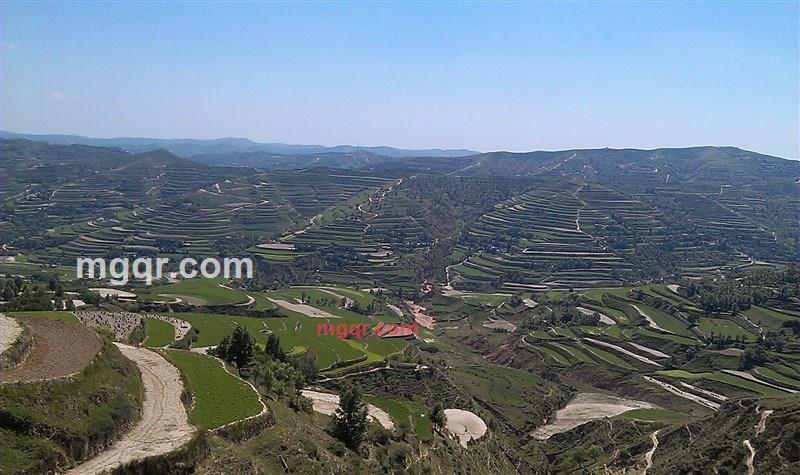 沧浪之水2009的第10张照片