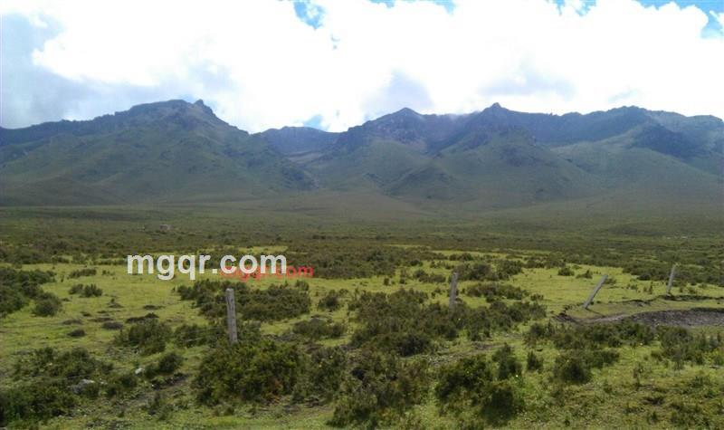 沧浪之水2009的第6张照片