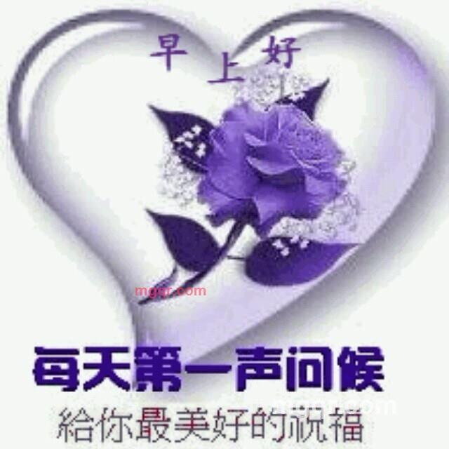 嗨大了波哥的第1张照片