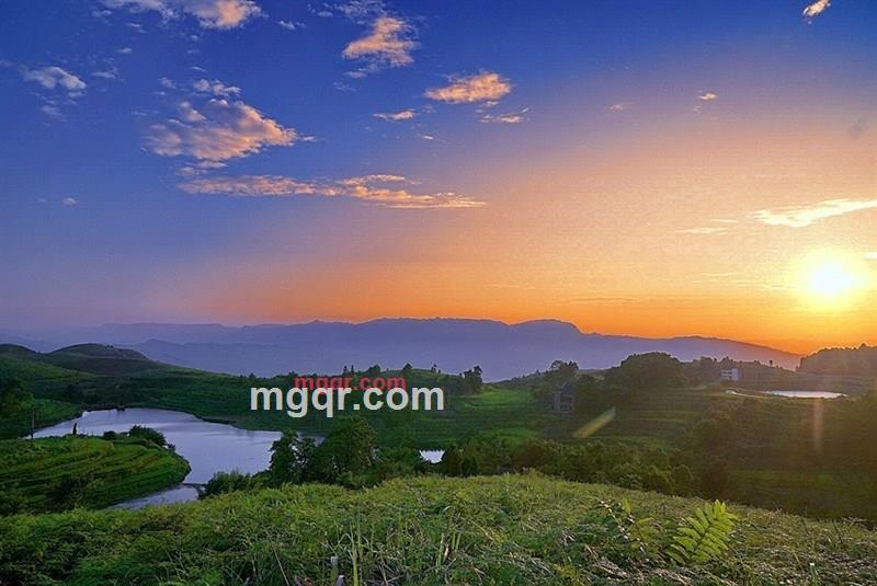 黄万金油的第3张照片