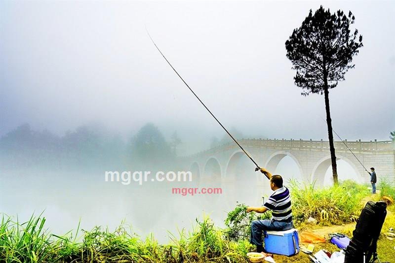 黄万金油的第2张照片