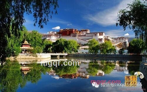 寻天下美女的第2张照片