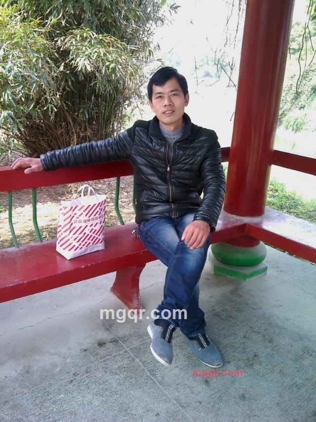 和平鸟的第2张照片