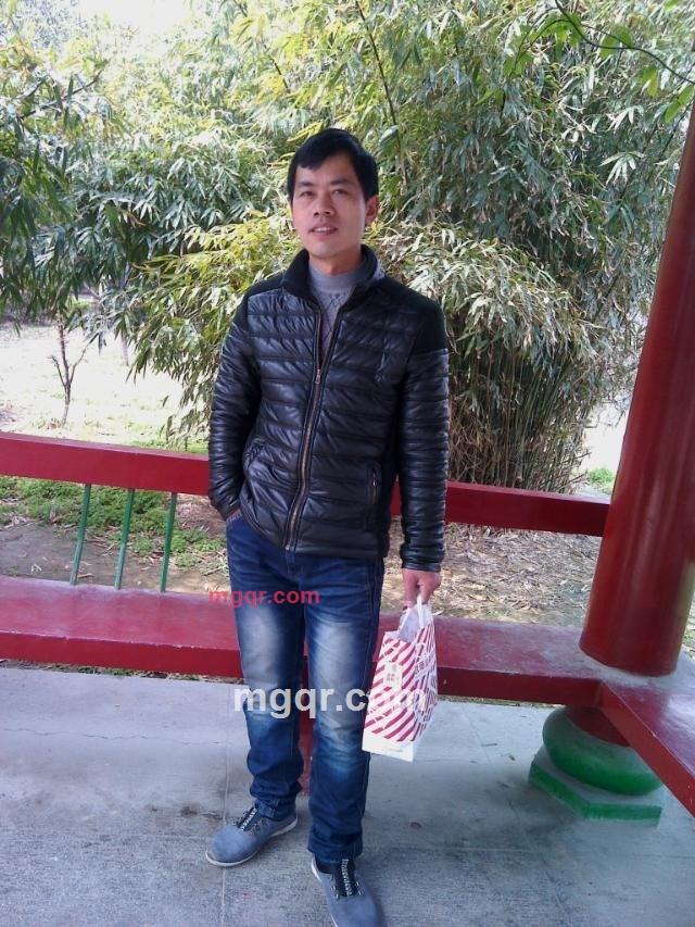 和平鸟的第1张照片