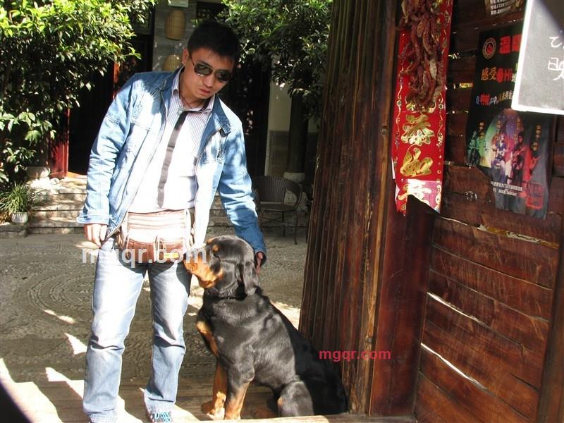 地狱混天堂的第1张照片