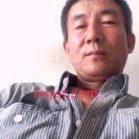 人情找我的第1张照片