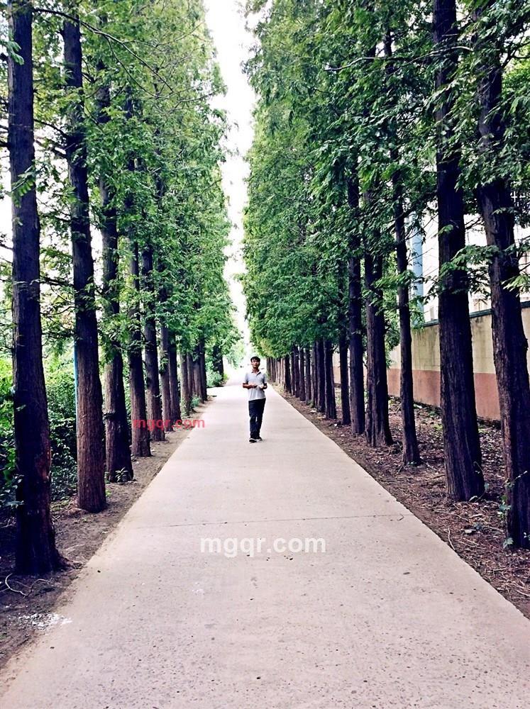 星光007的第2张照片