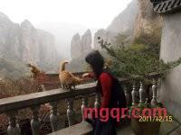 无甜的第10张照片