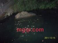 无甜的第4张照片