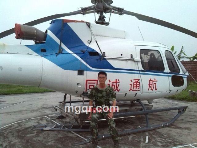 木头的第4张照片