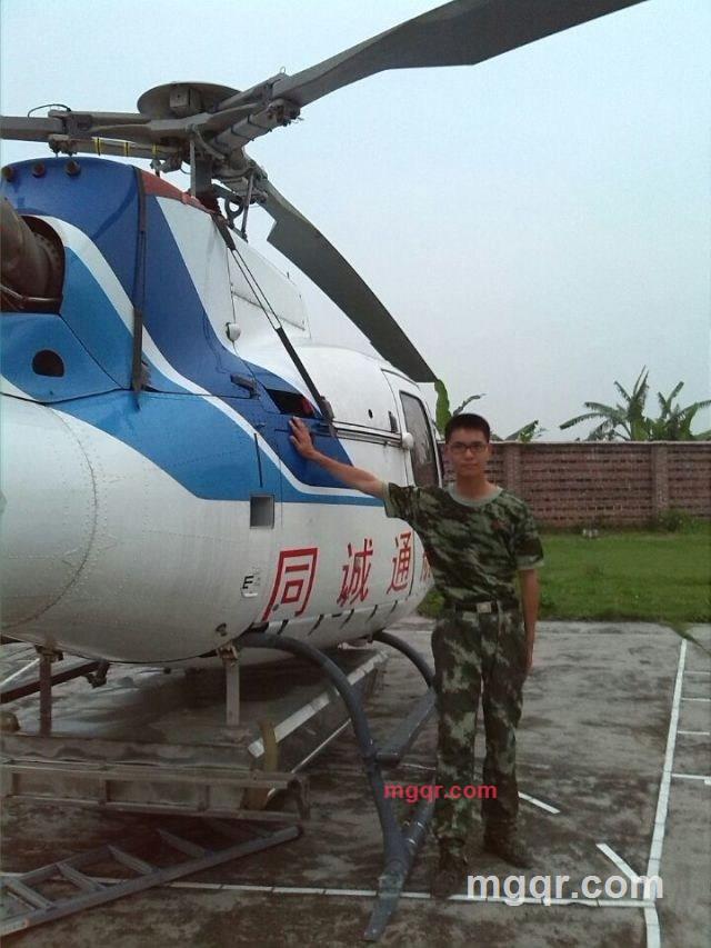 木头的第3张照片