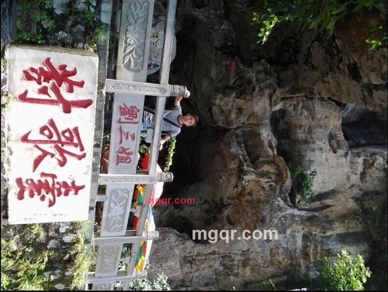 风雪夜归鸟的第1张照片