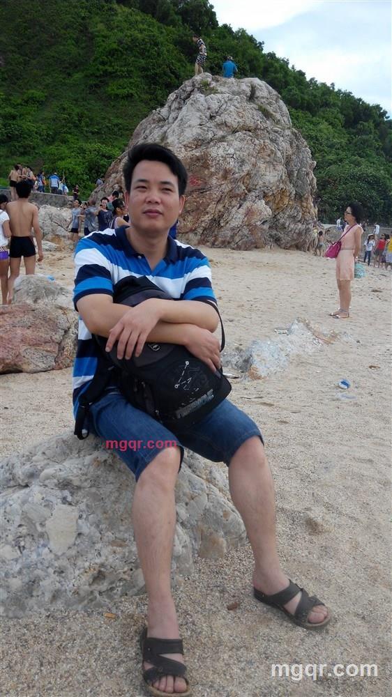 海鸥飞处2014的第1张照片