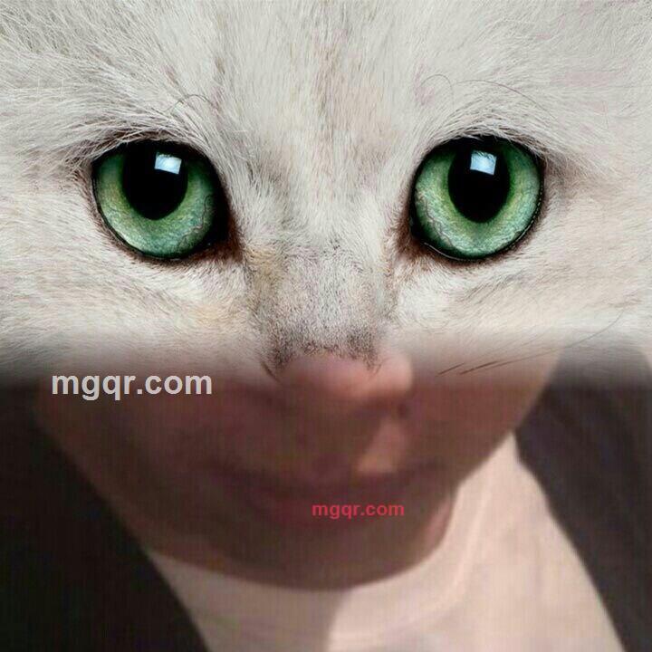 zey2014的第3张照片