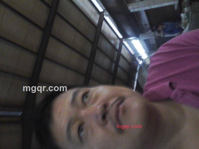 梧桐树哭了的第1张照片