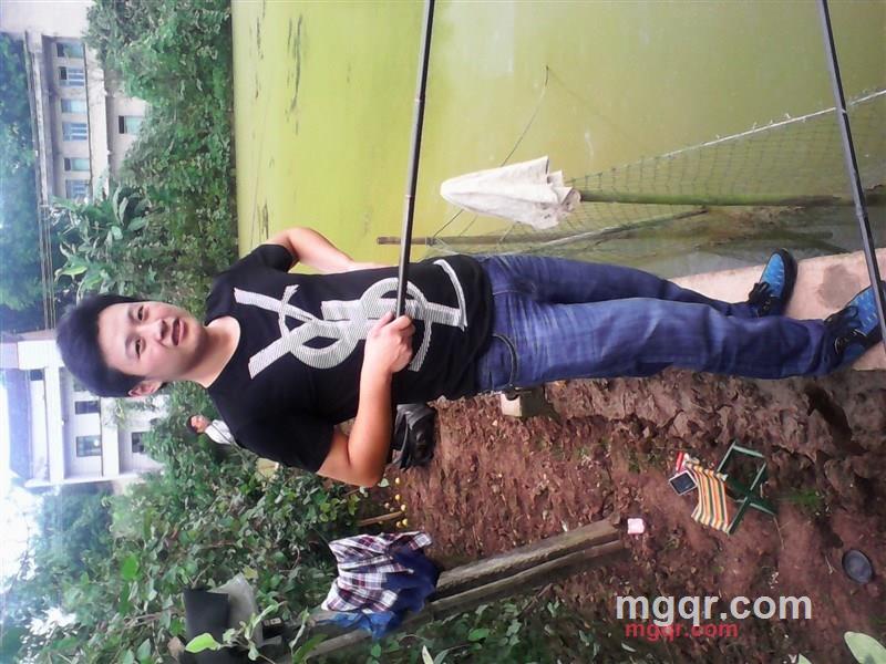 就这样飘来的第3张照片