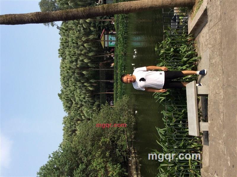 文统的第1张照片