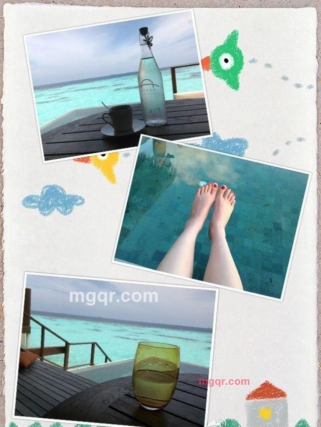 迷宫百合的第1张照片