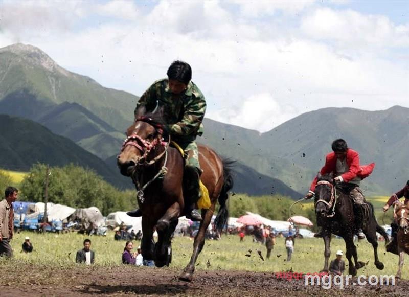 shenjiu009的第1张照片