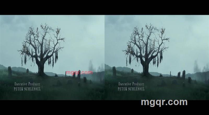 你是我的老苹果的第1张照片