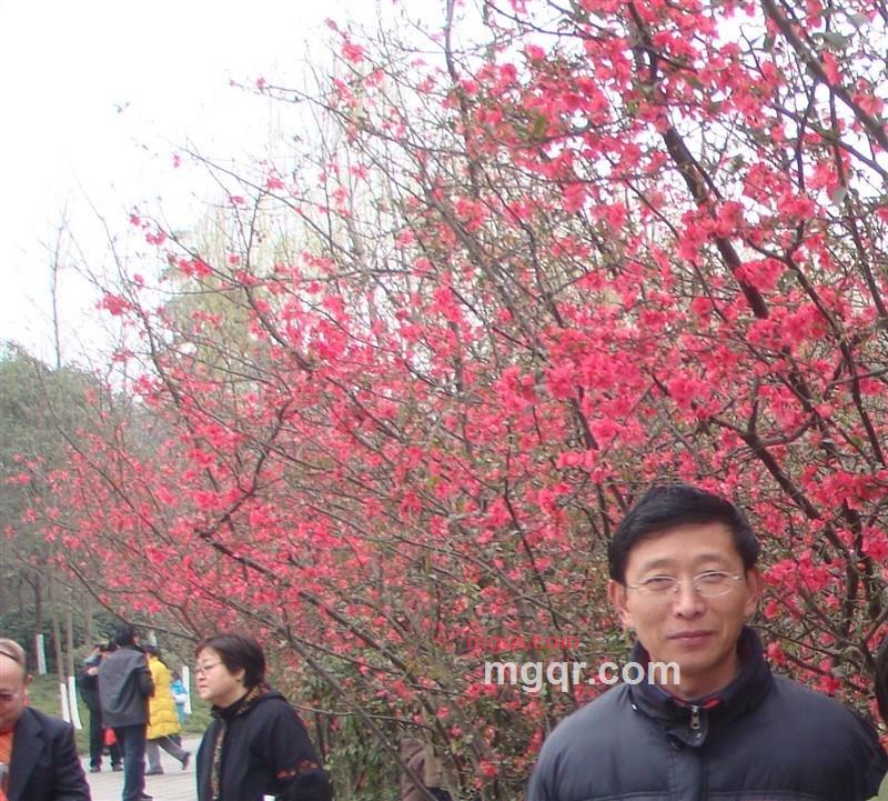 诚滋桃李的第2张照片