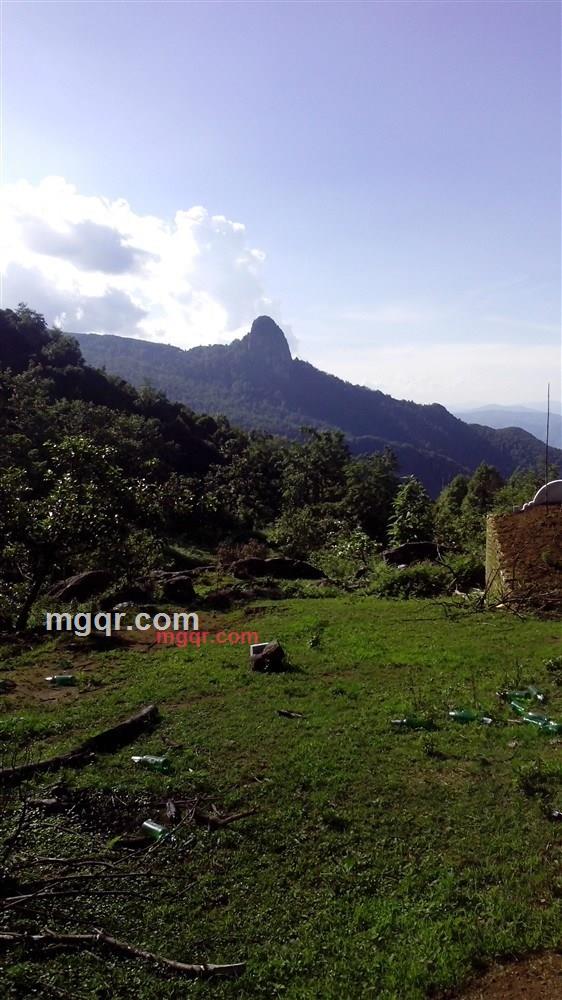 ABC小激励的第4张照片