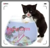 ○23321的第2张照片