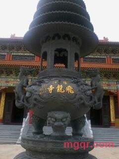 孤 独 VS 臣妾的第1张照片