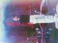 南渡北归321的第1张照片