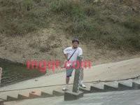 幸运独孤雀的第4张照片