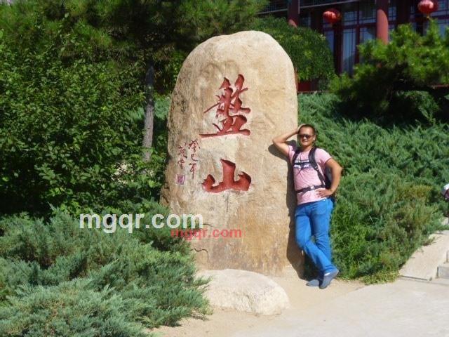 爱刺的第1张照片