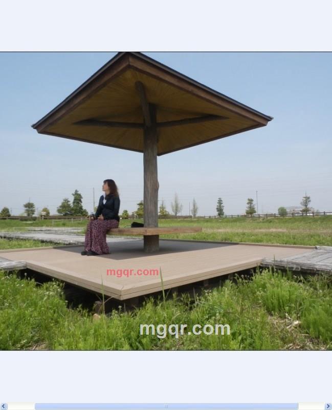 优质白领女人的第5张照片