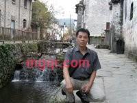 春、夏、秋、冬的第1张照片