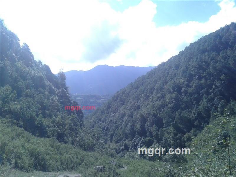 裘哎的第1张照片