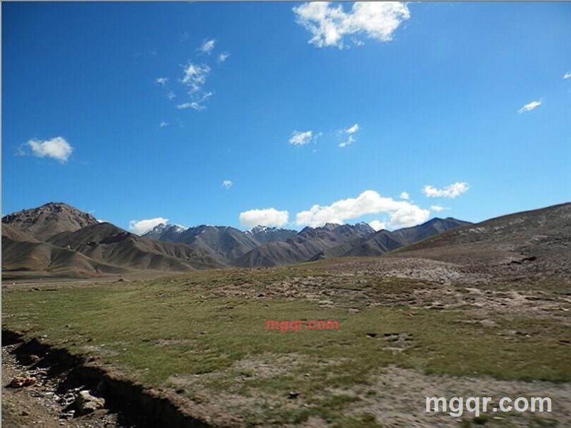 红枸杞子的第1张照片