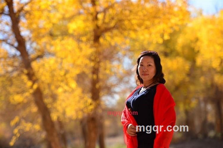 北极熊的第1张照片