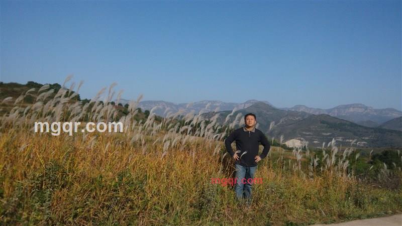 咋非诚勿扰123的第1张照片