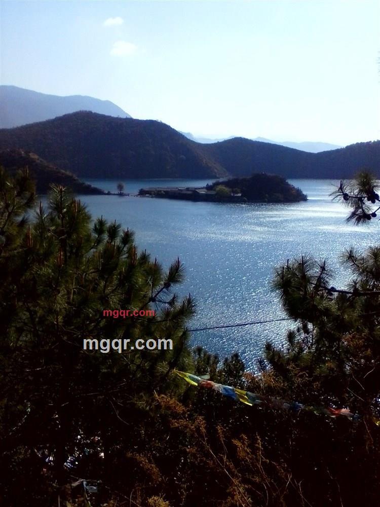 圆规画不了缘的第3张照片