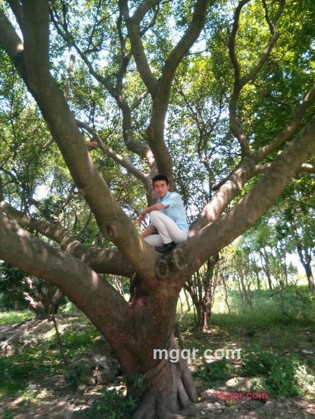 寂寞的小男人的第16张照片