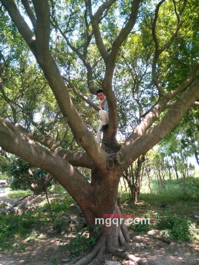 寂寞的小男人的第15张照片