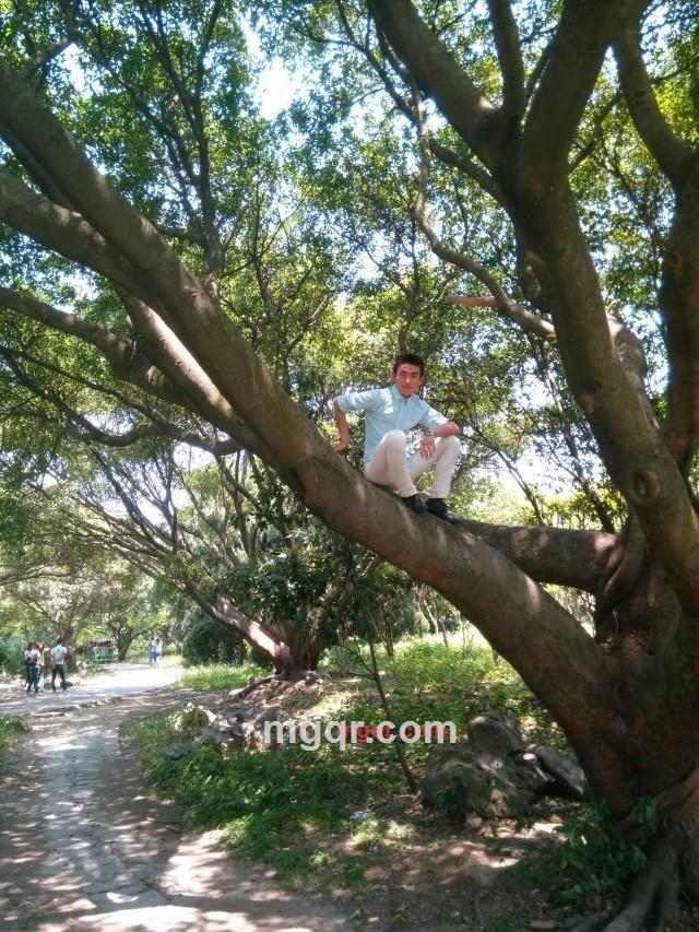 寂寞的小男人的第18张照片