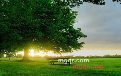 xiandehen的第1张照片