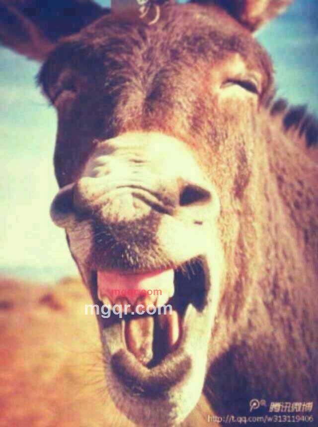 就是领舞起领起吧吧的第1张照片