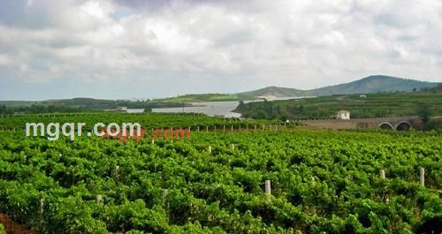 神舟5号的第7张照片