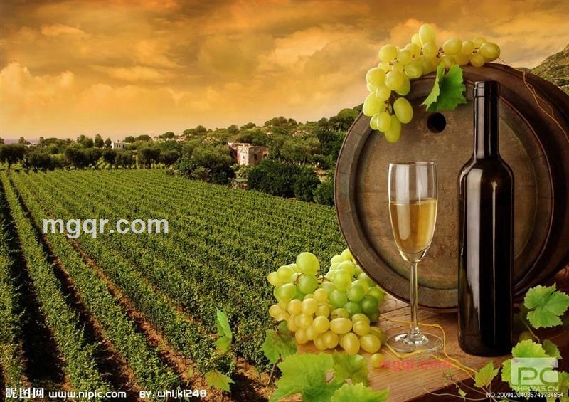 神舟5号的第4张照片