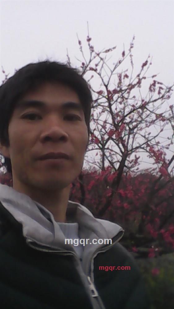 ??强求的第2张照片