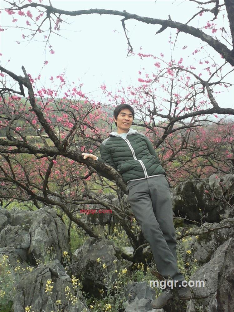 ??强求的第1张照片